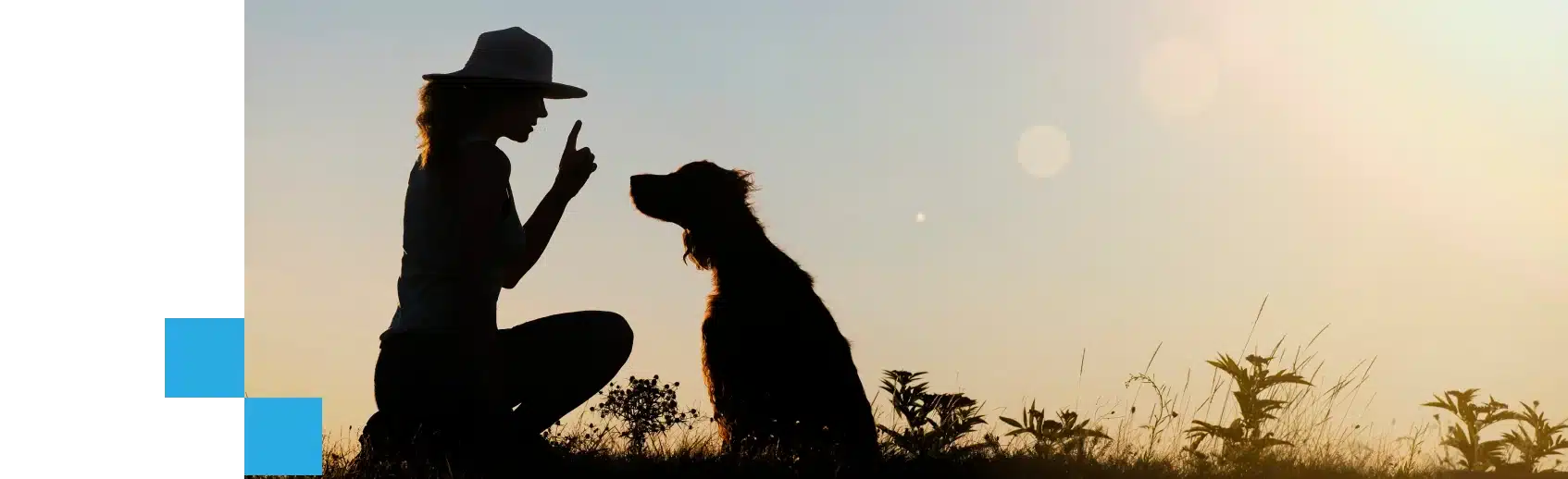 Silhouette of a woman training her dog outdoors at sunset