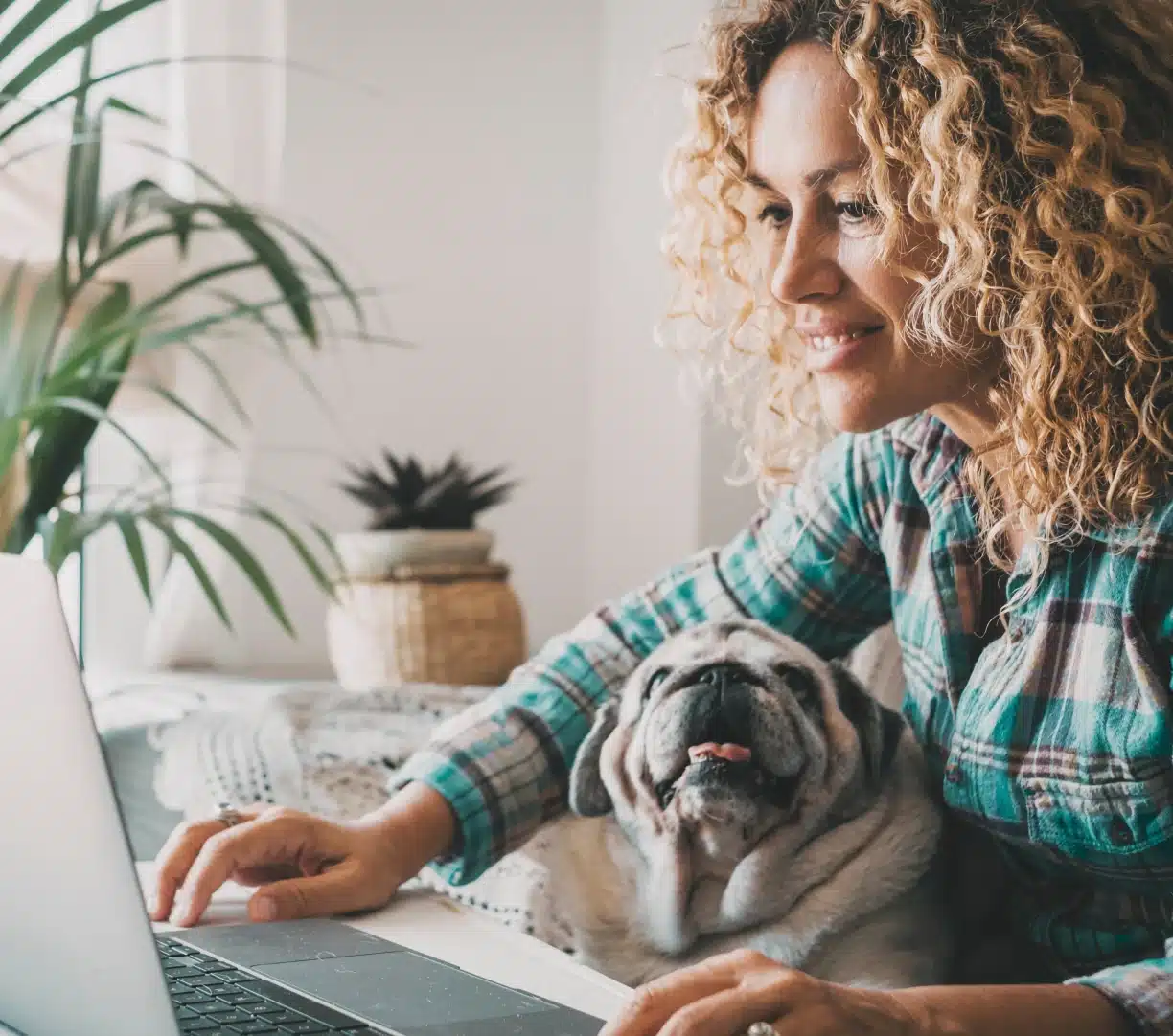 Woman using a laptop for online dog training coaching with her Shar Pei nearby