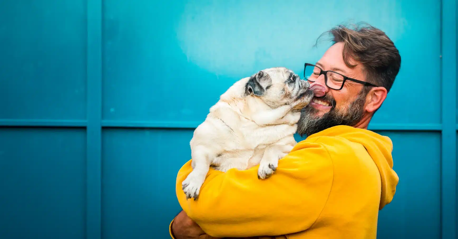 Happy dog owner holding his pug, who is licking his face affectionately